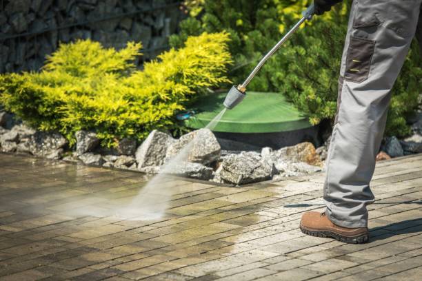 Best Soft Washing  in Monrovia, CA