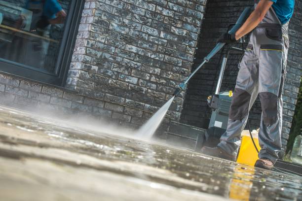 Best Solar Panel Cleaning  in Monrovia, CA